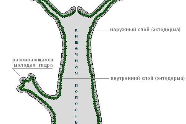 Ссылка на кракен vtor run